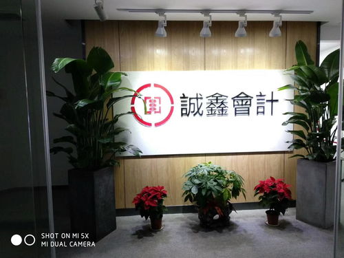 專業(yè)伙伴本土力量 湖南誠鑫會計服務(wù)集團與賀州企業(yè)服務(wù)的深度實踐